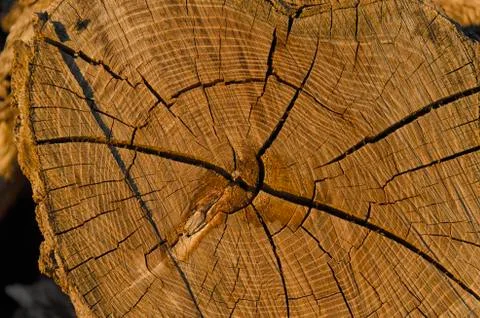 View of wood texture Stock-Fotos