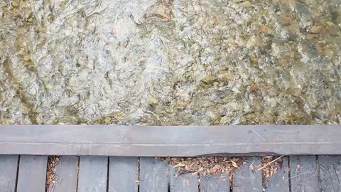 View from a wooden bridge Stockbeeldmateriaal 127612076