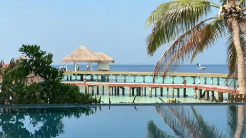 View of wooden pier from pool side at Maldives resort Stock Footage 306041284