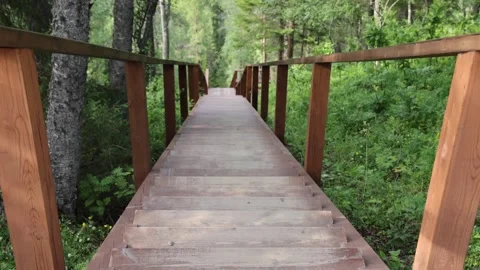 View of wooden staircase on Solovetsky Islands, Russia. Video stock 343677096