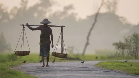 View of a worker carrying baskets on a rural road, Bangladesh. Video stock 334968211