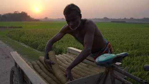 View of a worker loading a cart at sunset in Bangladesh. Video stock 335465744