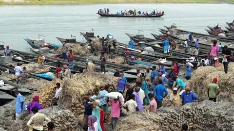 View of workers loading jute onto boats in Jamalpur, Bangladesh. 스톡 동영상 335560087