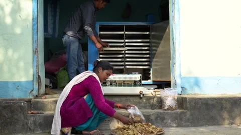 View of workers processing dried food in Dhangadhi, Nepal. Video stock 335475870