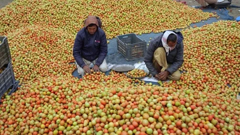 View of workers sorting fresh fruits in a market in Bangladesh. Stockbeeldmateriaal 336427022