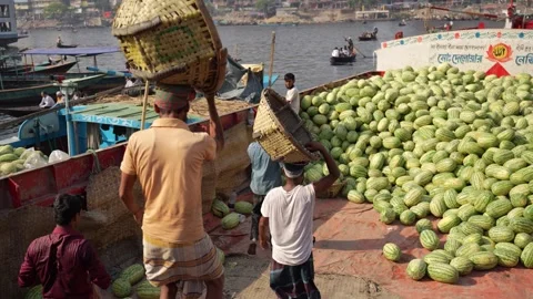 View of workers unloading watermelons at Sadarghat, Bangladesh. Stock Footage 335008396