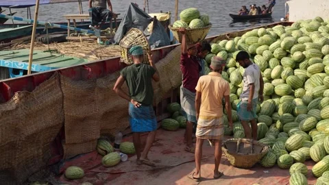 View of workers unloading watermelons at Sadarghat, Bangladesh. Video stock 335008559