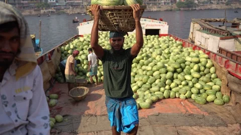 View of workers unloading watermelons at Sadarghat, Bangladesh. Video stock 335008605