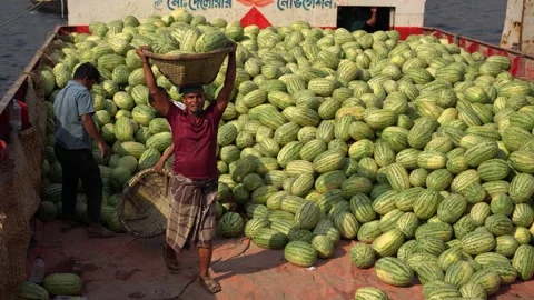 View of workers unloading watermelons at Sadarghat, Bangladesh. Video stock 335008821