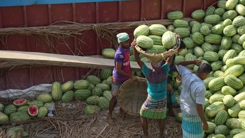 View of workers unloading watermelons at Sadarghat, Bangladesh. Video stock 335009192