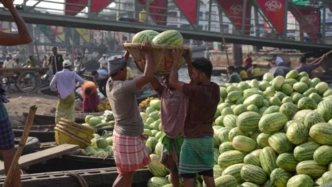 View of workers unloading watermelons at Sadarghat port, Bangladesh. Video stock 335009322