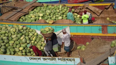 View of workers unloading watermelons at Sadarghat, Bangladesh. Video stock 335009427
