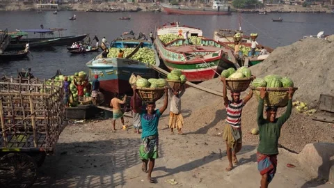 View of workers unloading watermelons at Sadarghat, Bangladesh. Video stock 335010471