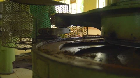 View of workers, working with rolling tea leaves  Machine Stock Footage 107336492