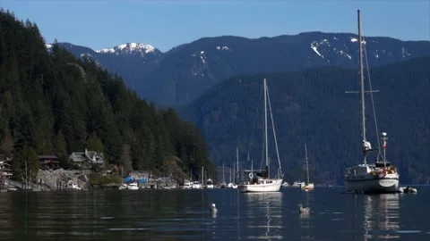 View of yachts moored in the Deep Cove on a quiet sunny morning in Canada Stock Footage 161472330