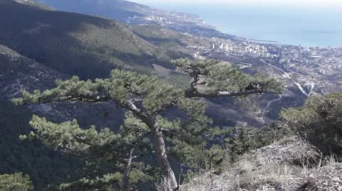 View to Yalta from mountains Stock Footage 14915752