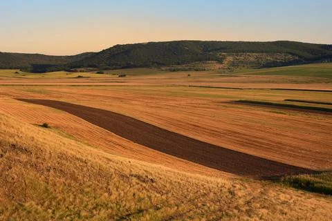 View Of Yellow And Green Fields in Macin, Romania Stock Photos