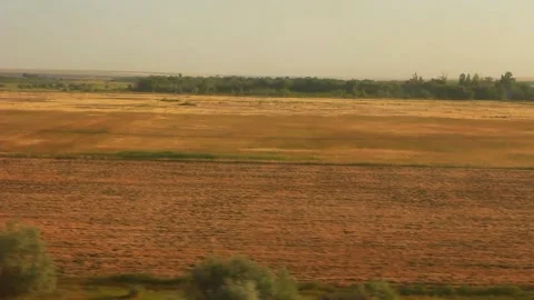  View of the yellow field from the train window Stock Footage 158012265