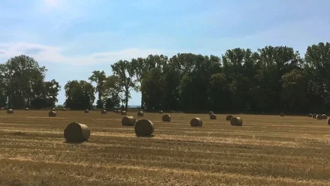 View of yellow summer fields with haystacks from moving car window. stubble fiel Stock Footage 94743440