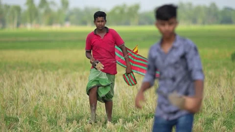 View of a young man holding a kite in a harvested field, Bangladesh. Video stock 335015297