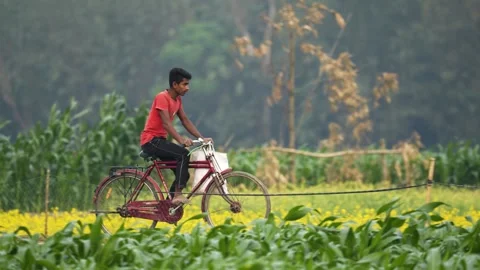 View of a young man riding a bicycle through rural fields, Bangladesh. Stock-Footage 334986759