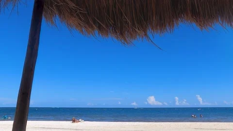 View of Yucatan Beach from under a Palapa Stock Footage 217411675