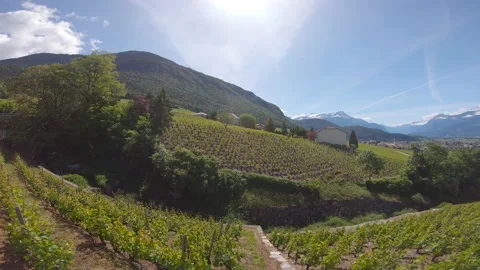 View Yvorne 2 動画素材 131068488