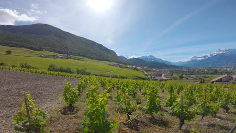 View Yvorne 库存影片 131068578