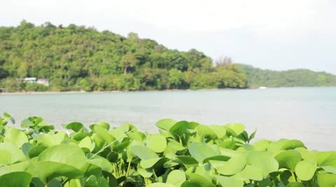 View3 Video stock 10875169