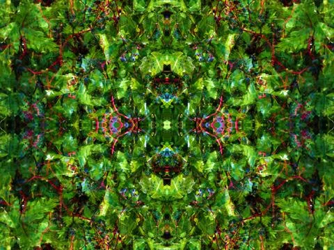 Viewed in a kaleidoscope Foto stock
