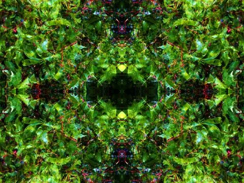 Viewed in a kaleidoscope Foto stock