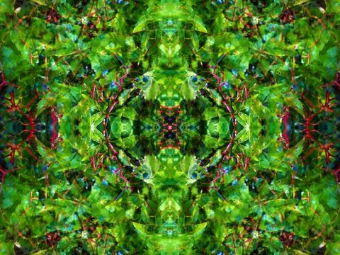 Viewed in a kaleidoscope Foto stock