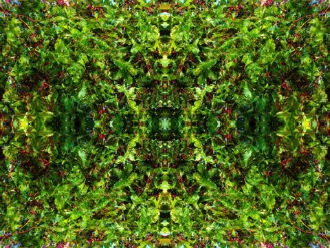 Viewed in a kaleidoscope Foto stock