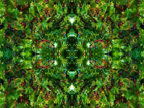 Viewed in a kaleidoscope Foto stock