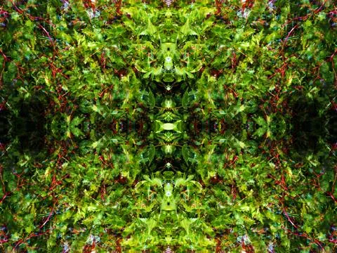 Viewed in a kaleidoscope Foto stock