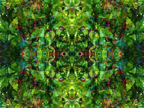 Viewed in a kaleidoscope Foto stock