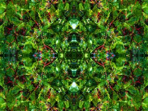 Viewed in a kaleidoscope Foto stock
