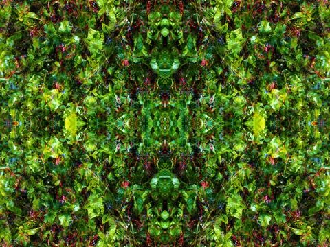 Viewed in a kaleidoscope Foto stock