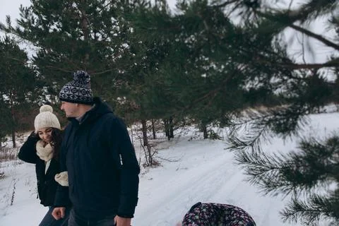 The viewer spies on the couple through the pine trees. Stock Photos