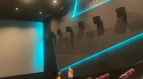 Viewers In Dark Cinema Hall With Blank Screen. United States. Stock Footage 199508916
