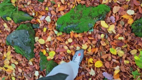 From the viewer's eyes: trudging through a rough forest floor covered in au.. Stock-Footage 256000911