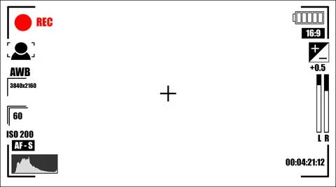 Viewfinder frame with different data on a white background Stock Illustration