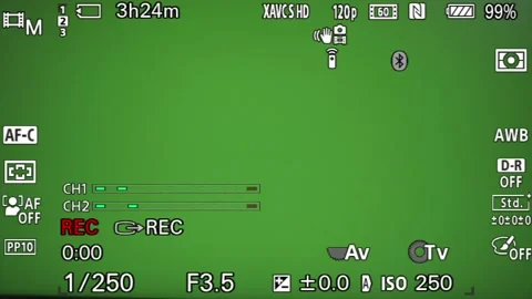 Viewfinder Frame Overlay Camera Recording with GLITCH Effect 스톡 동영상 196245468