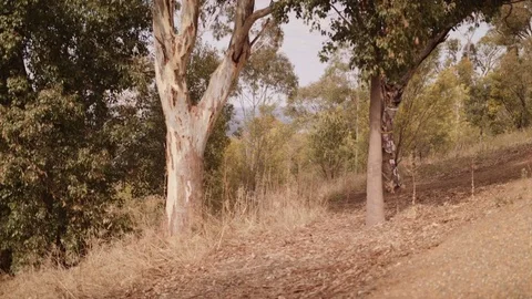 ViewFromAHill Stock Footage 75268435