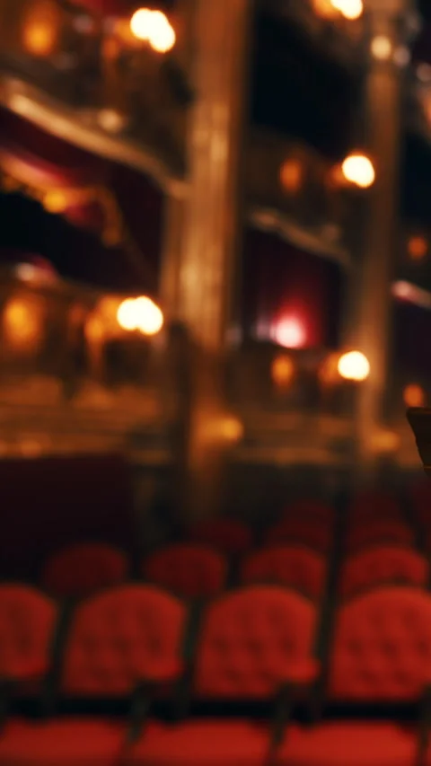 Viewing area in a theater shows red seats with warm lights and gold accents Stock Footage 340879921