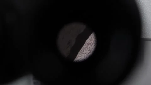 Viewing microstructure through a microscope 库存影片 309625598