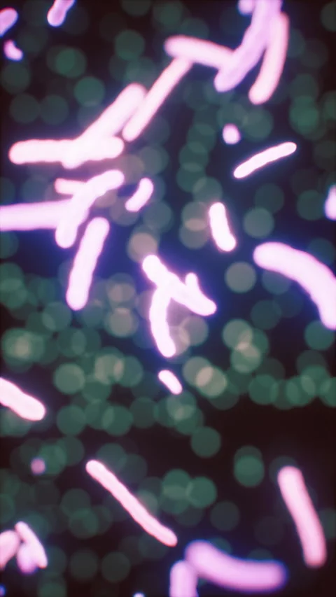 Viewing the navirus under a digital microscope Stock Footage 292843971