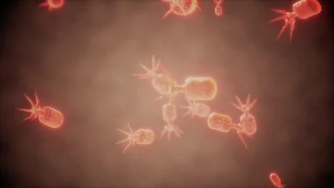 Viewing the navirus under a digital microscope 스톡 일러스트