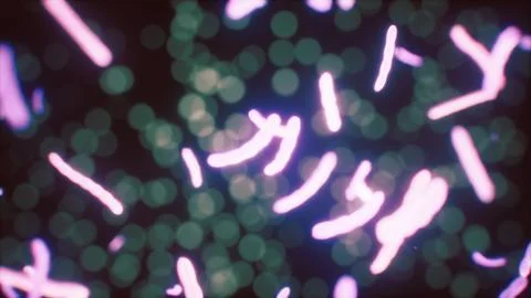 Viewing the navirus under a digital microscope 스톡 일러스트