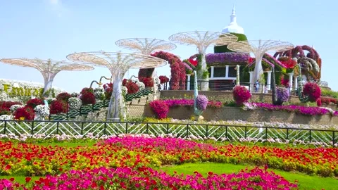 The viewing pavilion among the flower beds, Miracle Garden, Dubai, UAE Stockbeeldmateriaal 150545508